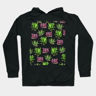 Aquarium Plant Series Triptych 1 Hoodie